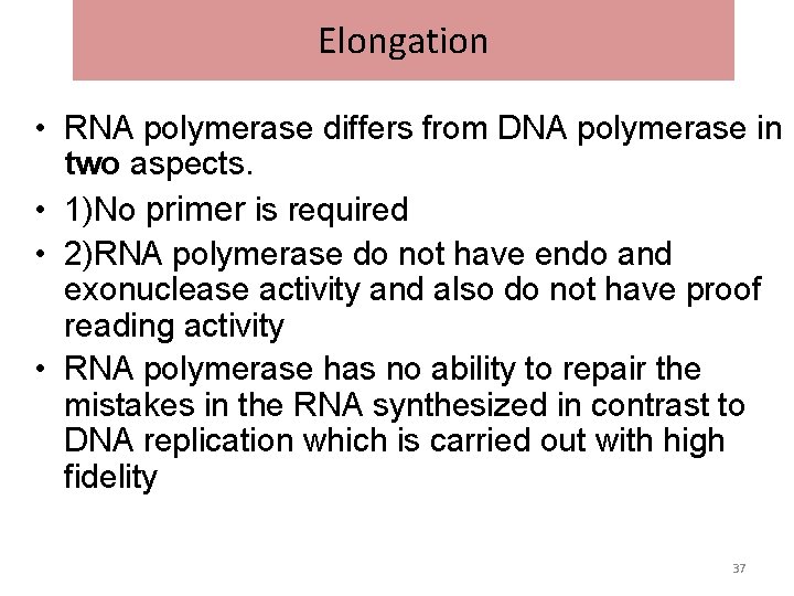 Elongation • RNA polymerase differs from DNA polymerase in two aspects. • 1)No primer