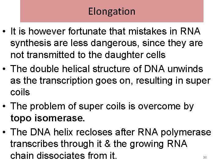 Elongation • It is however fortunate that mistakes in RNA synthesis are less dangerous,