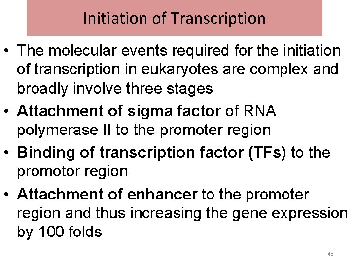Initiation of Transcription • The molecular events required for the initiation of transcription in