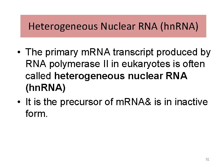 Heterogeneous Nuclear RNA (hn. RNA) • The primary m. RNA transcript produced by RNA