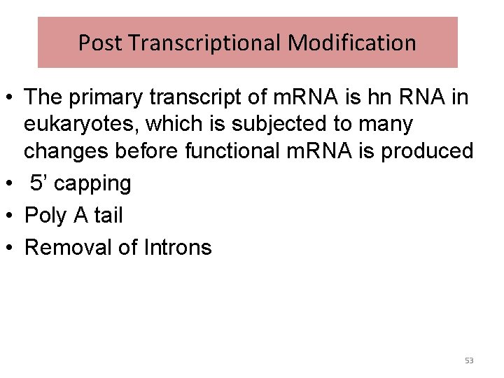 Post Transcriptional Modification • The primary transcript of m. RNA is hn RNA in