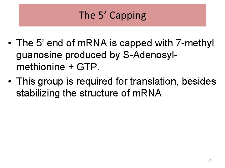 The 5’ Capping • The 5’ end of m. RNA is capped with 7