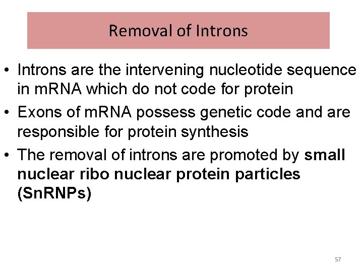 Removal of Introns • Introns are the intervening nucleotide sequence in m. RNA which