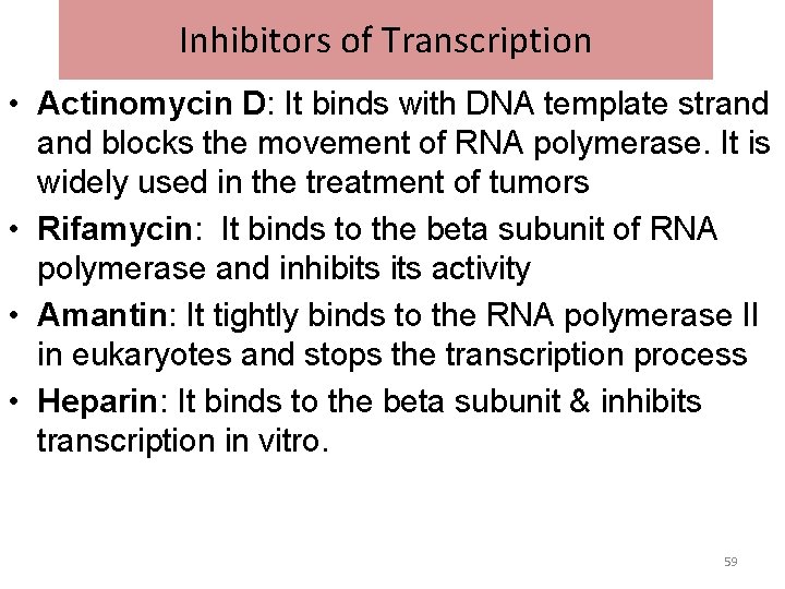 Inhibitors of Transcription • Actinomycin D: It binds with DNA template strand blocks the