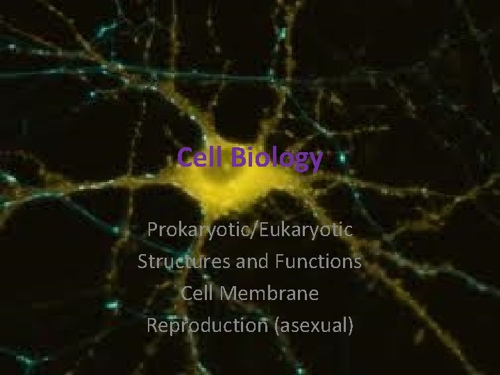 Cell Biology Prokaryotic/Eukaryotic Structures and Functions Cell Membrane Reproduction (asexual) 