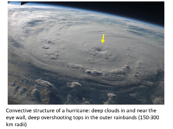 Convective structure of a hurricane: deep clouds in and near the eye wall, deep