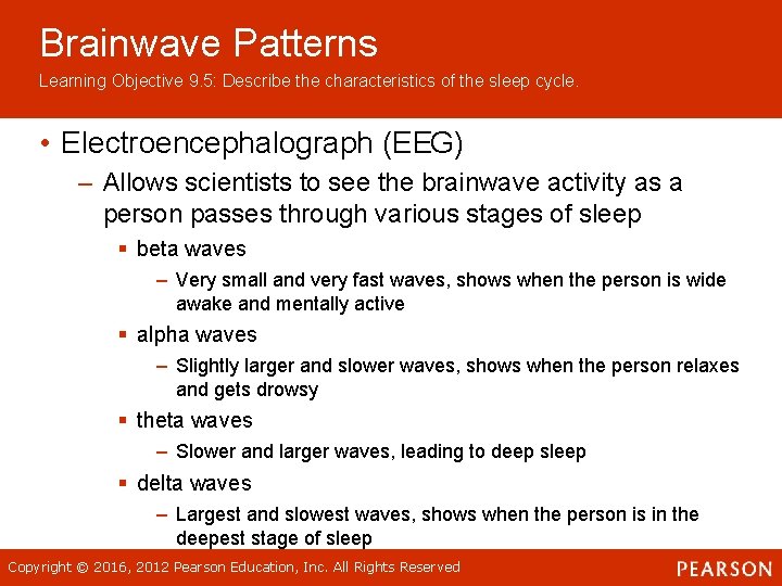 Brainwave Patterns Learning Objective 9. 5: Describe the characteristics of the sleep cycle. • Brainwave Patterns Learning Objective 9. 5: Describe the characteristics of the sleep cycle. •