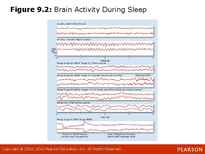 Figure 9. 2: Brain Activity During Sleep Copyright © 2016, 2012 Pearson Education, Inc. Figure 9. 2: Brain Activity During Sleep Copyright © 2016, 2012 Pearson Education, Inc.