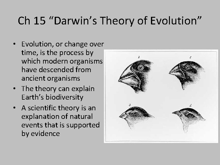Ch 15 “Darwin’s Theory of Evolution” • Evolution, or change over time, is the