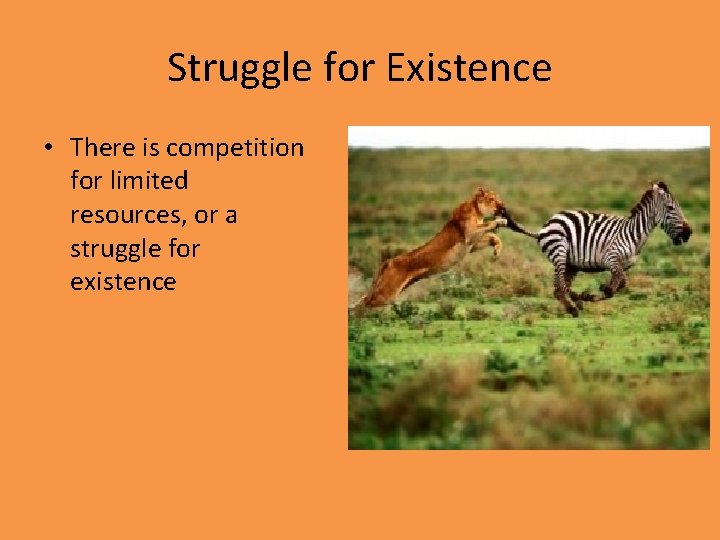 Struggle for Existence • There is competition for limited resources, or a struggle for