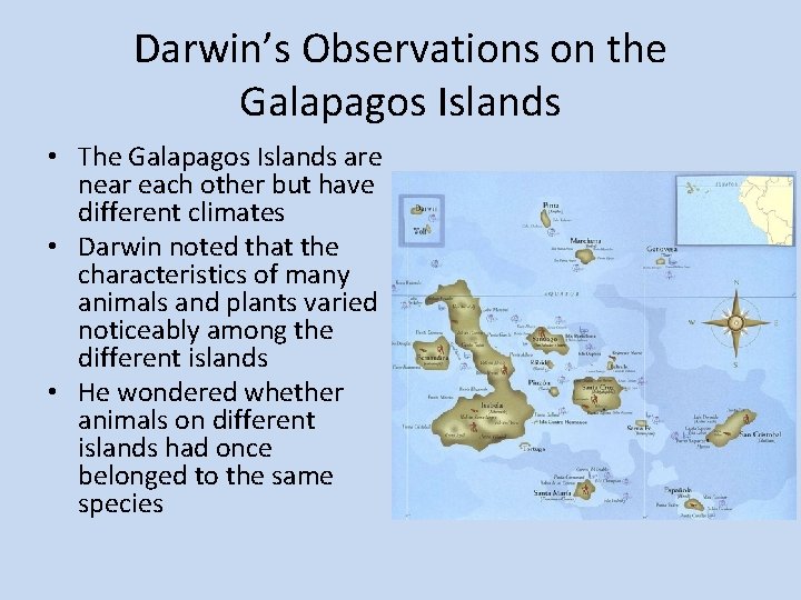 Darwin’s Observations on the Galapagos Islands • The Galapagos Islands are near each other