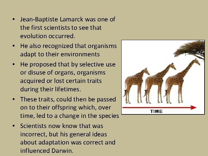  • Jean-Baptiste Lamarck was one of the first scientists to see that evolution