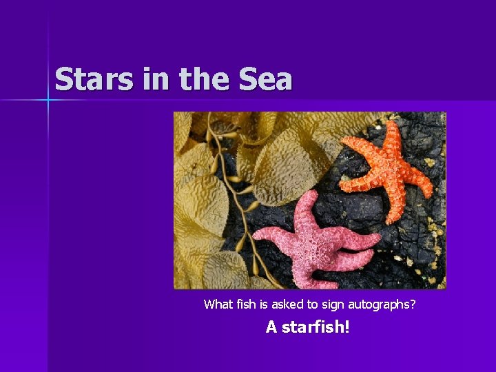 Stars in the Sea What fish is asked to sign autographs? A starfish! 