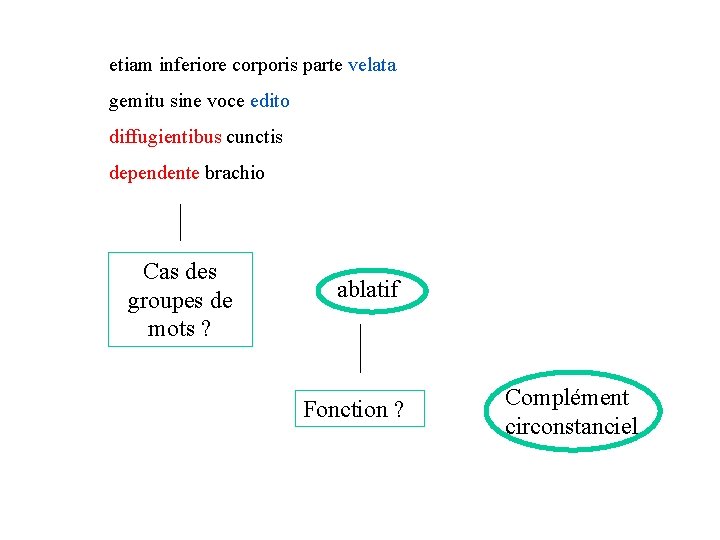 etiam inferiore corporis parte velata gemitu sine voce edito diffugientibus cunctis dependente brachio Cas