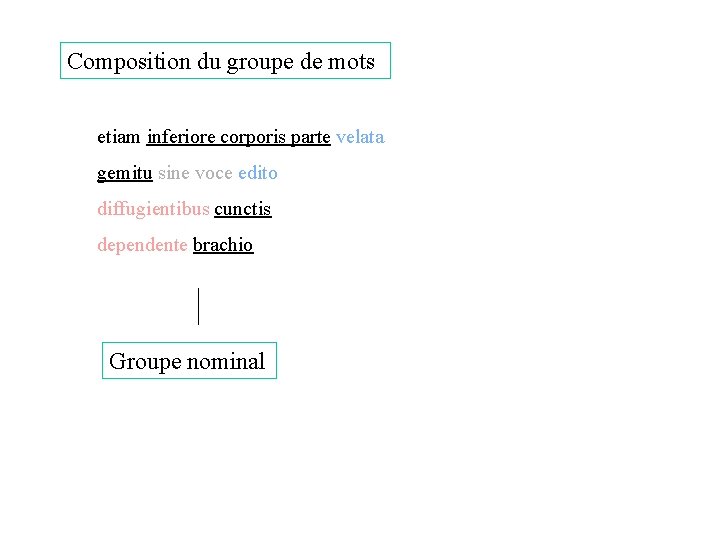 Composition du groupe de mots etiam inferiore corporis parte velata gemitu sine voce edito Composition du groupe de mots etiam inferiore corporis parte velata gemitu sine voce edito