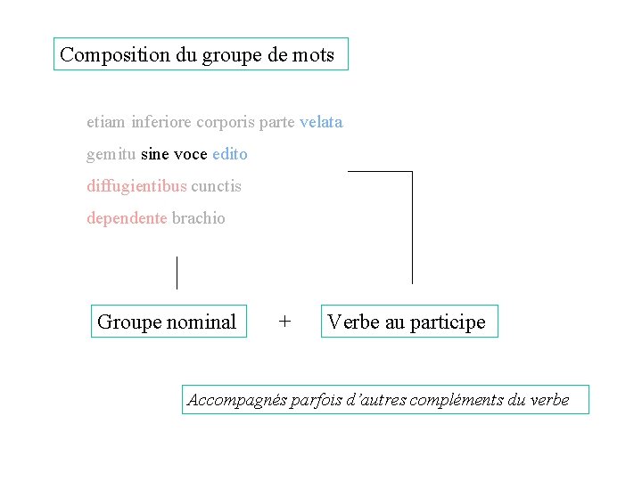 Composition du groupe de mots etiam inferiore corporis parte velata gemitu sine voce edito