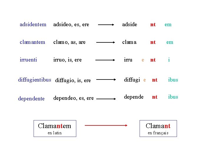 adsidentem adsideo, es, ere adside nt em clamantem clamo, as, are clama nt em