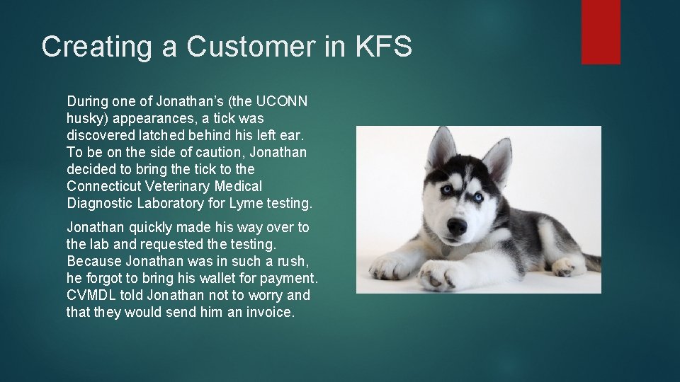 Creating a Customer in KFS During one of Jonathan’s (the UCONN husky) appearances, a