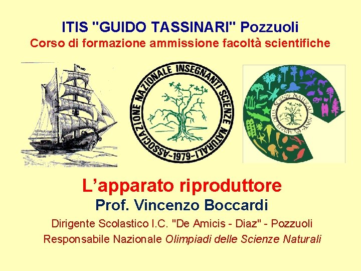 ITIS "GUIDO TASSINARI" Pozzuoli Corso di formazione ammissione facoltà scientifiche L’apparato riproduttore Prof. Vincenzo