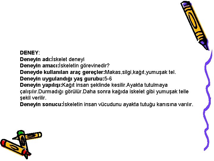 DENEY: Deneyin adı: İskelet deneyi Deneyin amacı: İskeletin görevinedir? Deneyde kullanılan araç gereçler: Makas, DENEY: Deneyin adı: İskelet deneyi Deneyin amacı: İskeletin görevinedir? Deneyde kullanılan araç gereçler: Makas,