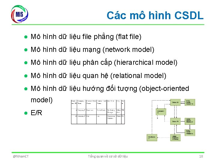 Các mô hình CSDL ● Mô hình dữ liệu file phẳng (flat file) ●