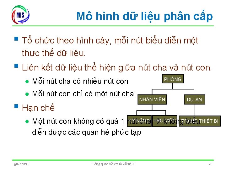 Mô hình dữ liệu phân cấp § Tổ chức theo hình cây, mỗi nút