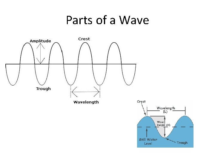 Parts of a Wave 