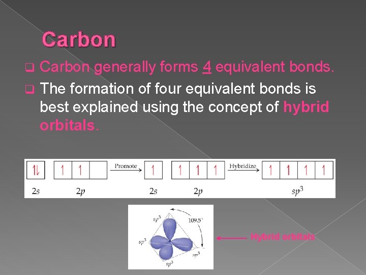 Carbon generally forms 4 equivalent bonds. q The formation of four equivalent bonds is