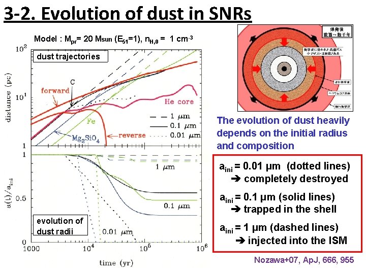 3 -2. Evolution of dust in SNRs Model : Mpr= 20 Msun (E 51=1),