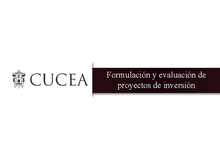 Formulación y evaluación de proyectos de inversión 