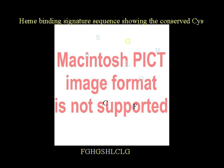 Heme binding signature sequence showing the conserved Cys S G H H L G