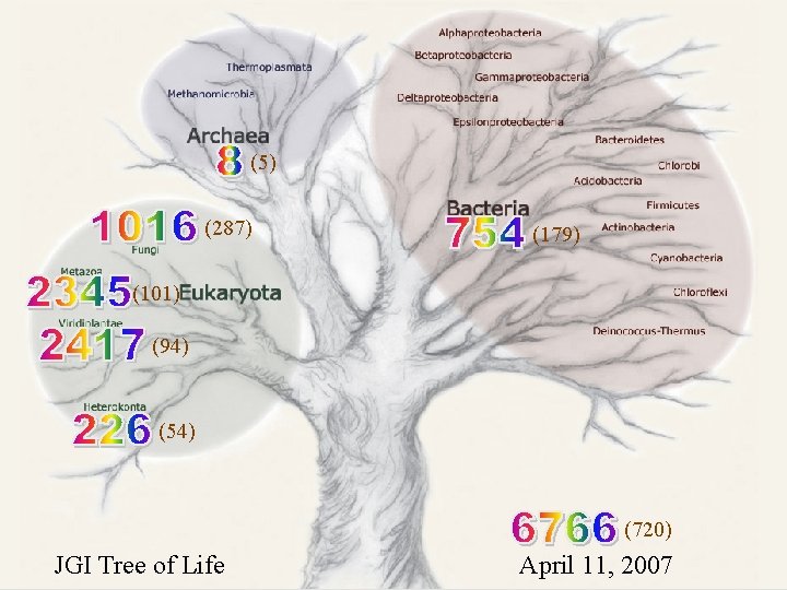 (5) (287) (179) (101) (94) (54) (720) JGI Tree of Life April 11, 2007