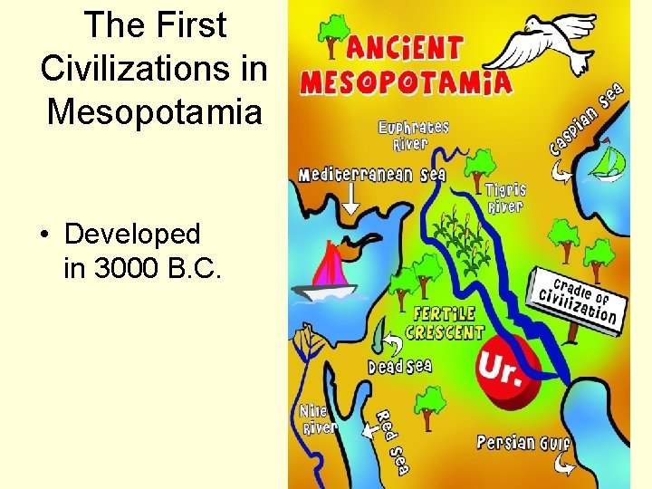 The First Civilizations in Mesopotamia • Developed in 3000 B. C. 