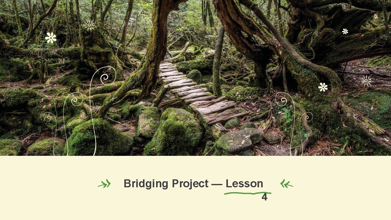 Bridging Project — Lesson 4 
