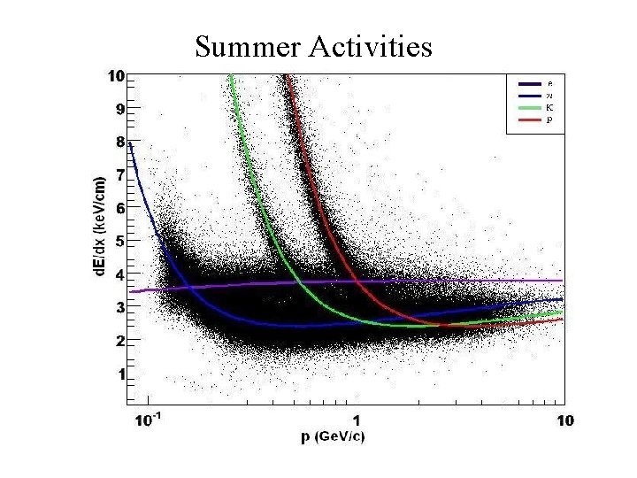 Summer Activities 