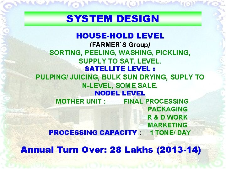 SYSTEM DESIGN HOUSE-HOLD LEVEL (FARMER`S Group) SORTING, PEELING, WASHING, PICKLING, SUPPLY TO SAT. LEVEL.