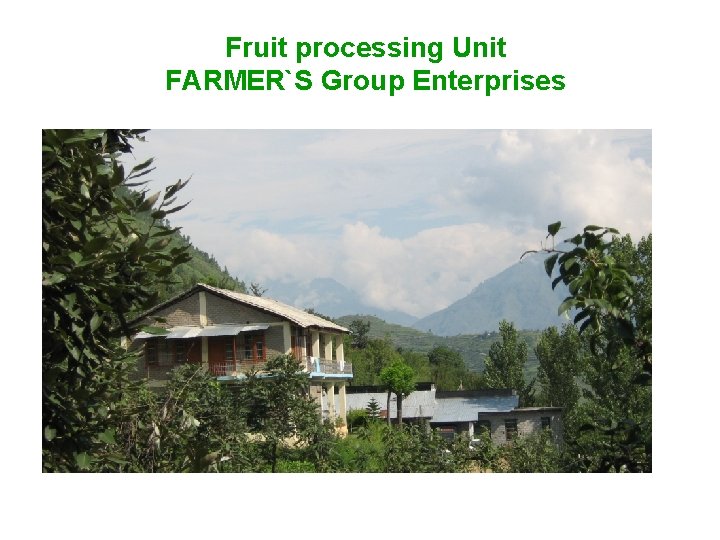 Fruit processing Unit FARMER`S Group Enterprises 