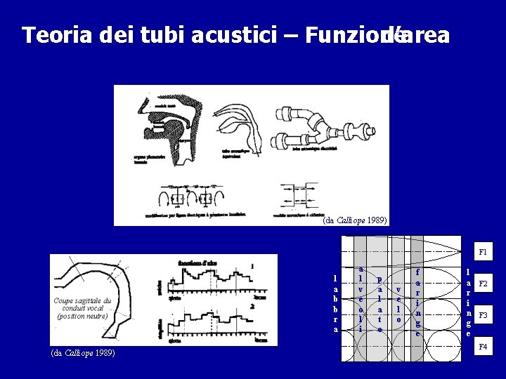 Teoria dei tubi acustici – Funzione d’area (da Calliope 1989) F 1 l a