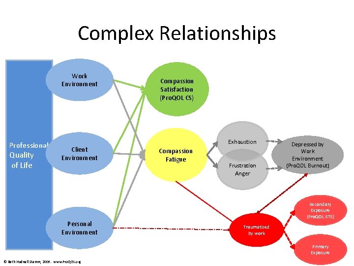 Complex Relationships Work Environment Professional Quality of Life Client Environment Compassion Satisfaction (Pro. QOL