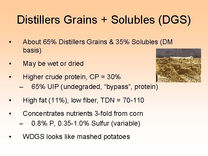 Distillers Grains + Solubles (DGS) • About 65% Distillers Grains & 35% Solubles (DM