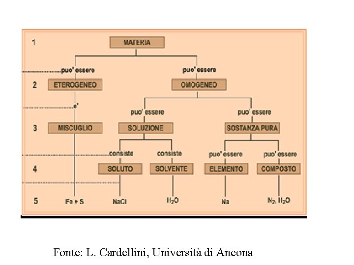 Fonte: L. Cardellini, Università di Ancona 
