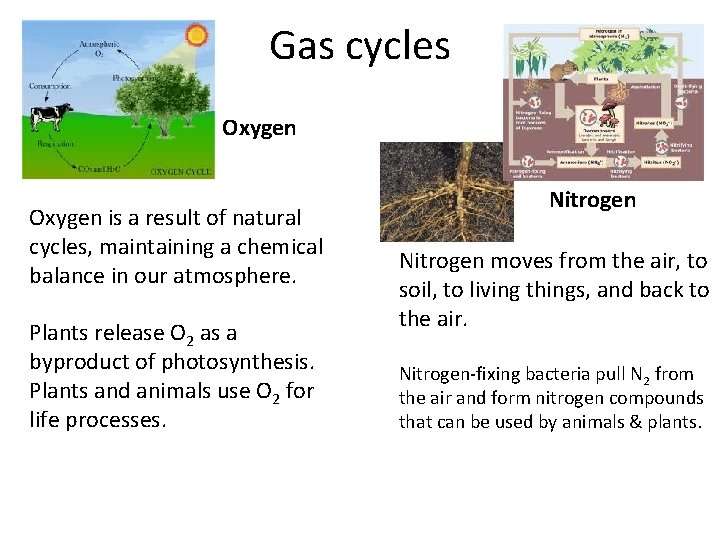 Gas cycles Oxygen is a result of natural cycles, maintaining a chemical balance in