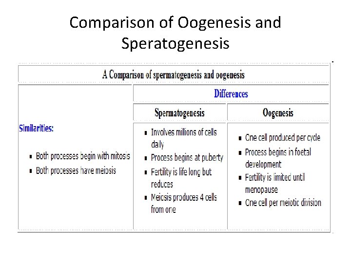 Comparison of Oogenesis and Speratogenesis 