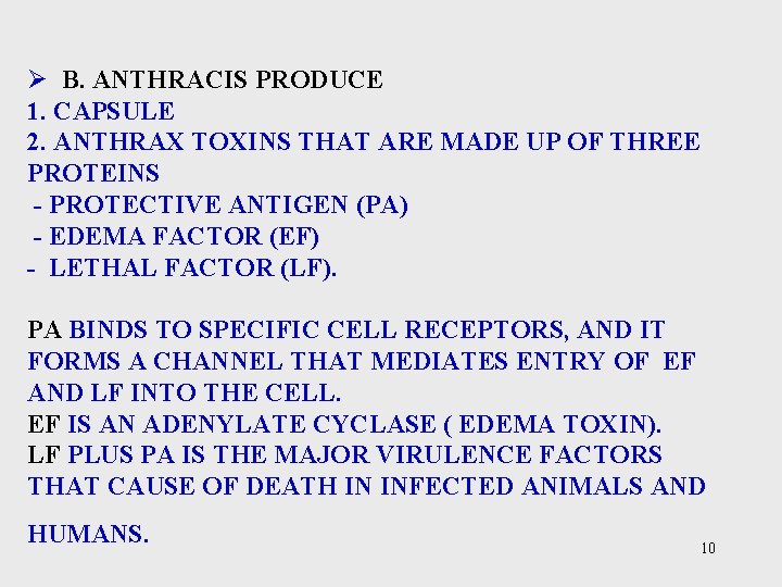 Ø B. ANTHRACIS PRODUCE 1. CAPSULE 2. ANTHRAX TOXINS THAT ARE MADE UP OF