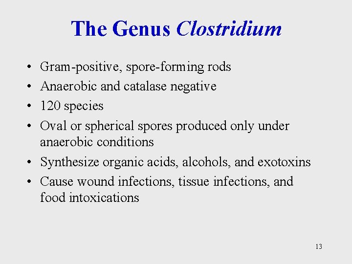 The Genus Clostridium • • Gram-positive, spore-forming rods Anaerobic and catalase negative 120 species