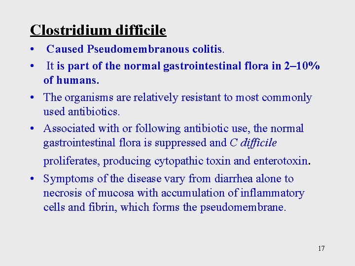 Clostridium difficile • Caused Pseudomembranous colitis. • It is part of the normal gastrointestinal