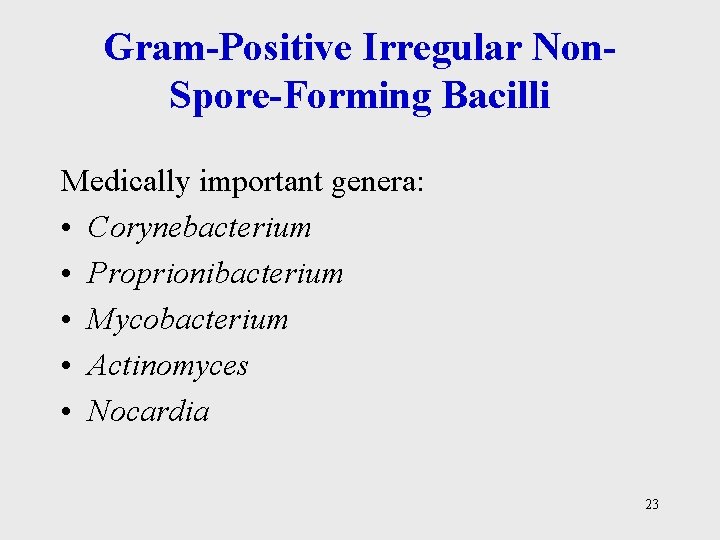 Gram-Positive Irregular Non. Spore-Forming Bacilli Medically important genera: • Corynebacterium • Proprionibacterium • Mycobacterium