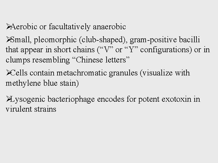 ØAerobic or facultatively anaerobic ØSmall, pleomorphic (club-shaped), gram-positive bacilli that appear in short chains