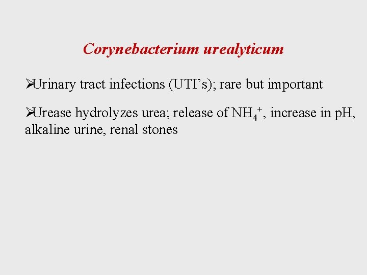 Corynebacterium urealyticum ØUrinary tract infections (UTI’s); rare but important ØUrease hydrolyzes urea; release of