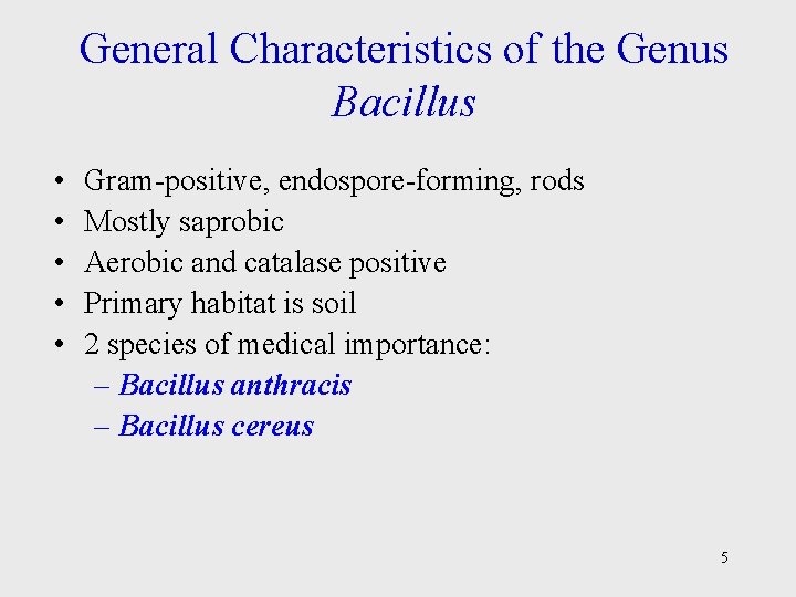 General Characteristics of the Genus Bacillus • • • Gram-positive, endospore-forming, rods Mostly saprobic